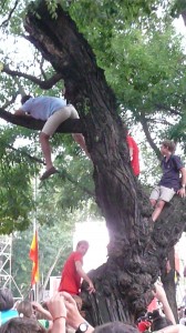 Jeunes croyants perchés sur un arbre pour apercevoir le passage du pape Benoît XVI
