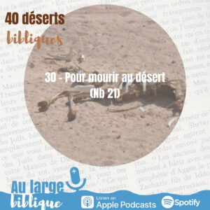 Lire la suite à propos de l’article Désert 30 – Pour mourir en ce désert (Nb 21)