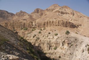 Ein Gedi, réserve naturelle, Israël