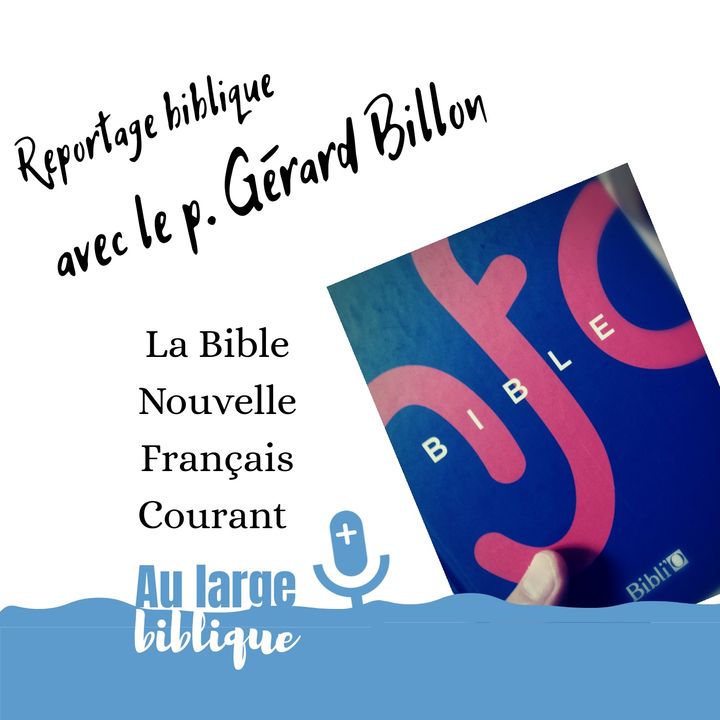 Lire la suite à propos de l’article Enquête (6) La Bible Nouvelle Français Courant