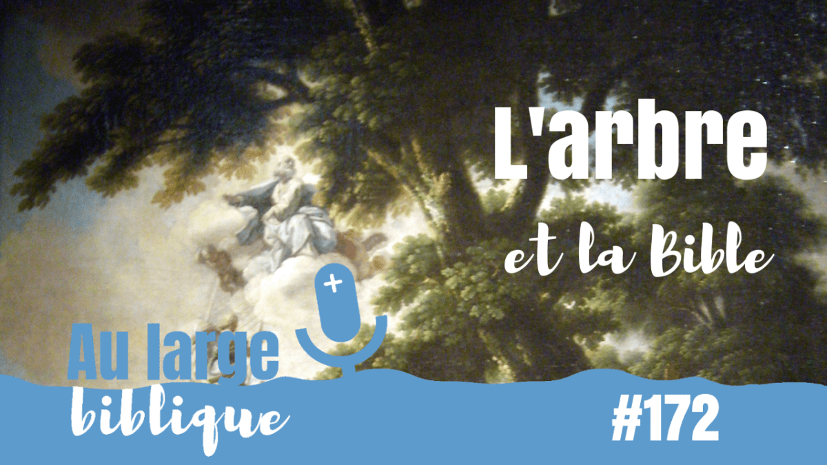 L'arbre dans la bible