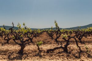 Photo by Juan Pablo Serrano Arenas from Pexels