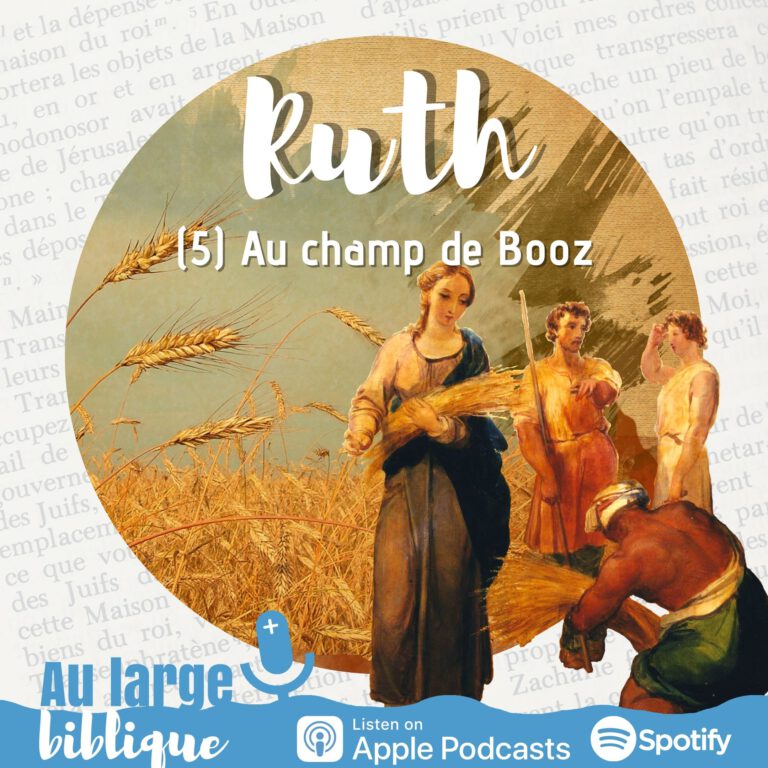 Lire la suite à propos de l’article Ruth (5) Au champ de Booz (Rt 2,1-13)