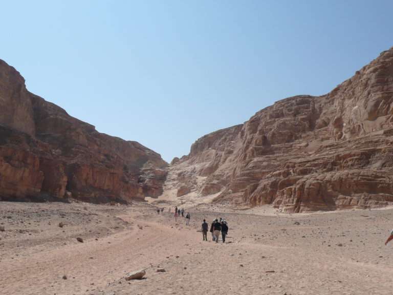 Désert - Aïn Khudra - Israël 2007 (F.B.)